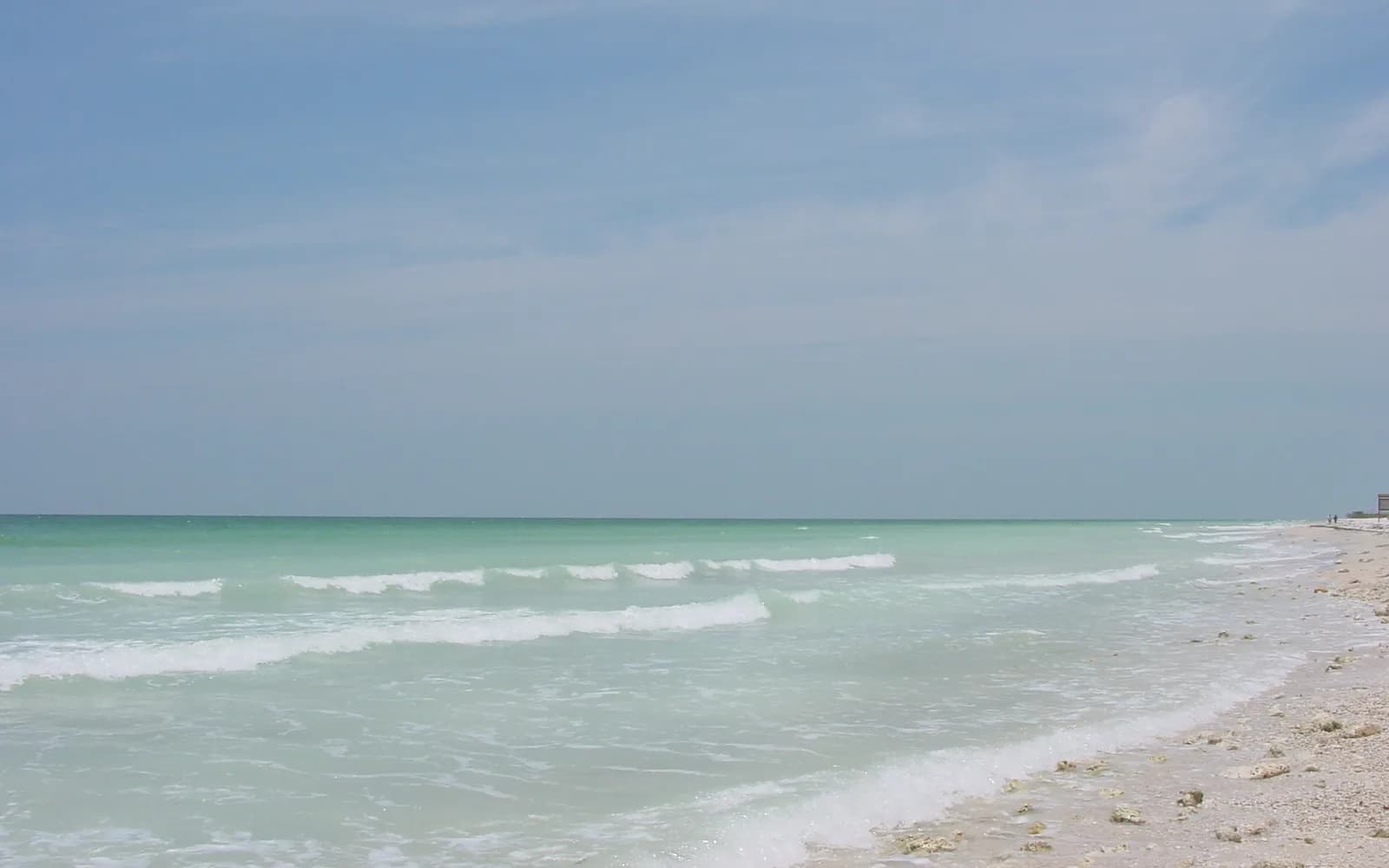 Honeymoon Island State Park beach near Clearwater, Florida