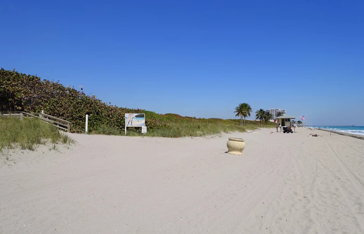 Dog Beach dunes and shoreline in Hollywood, Florida