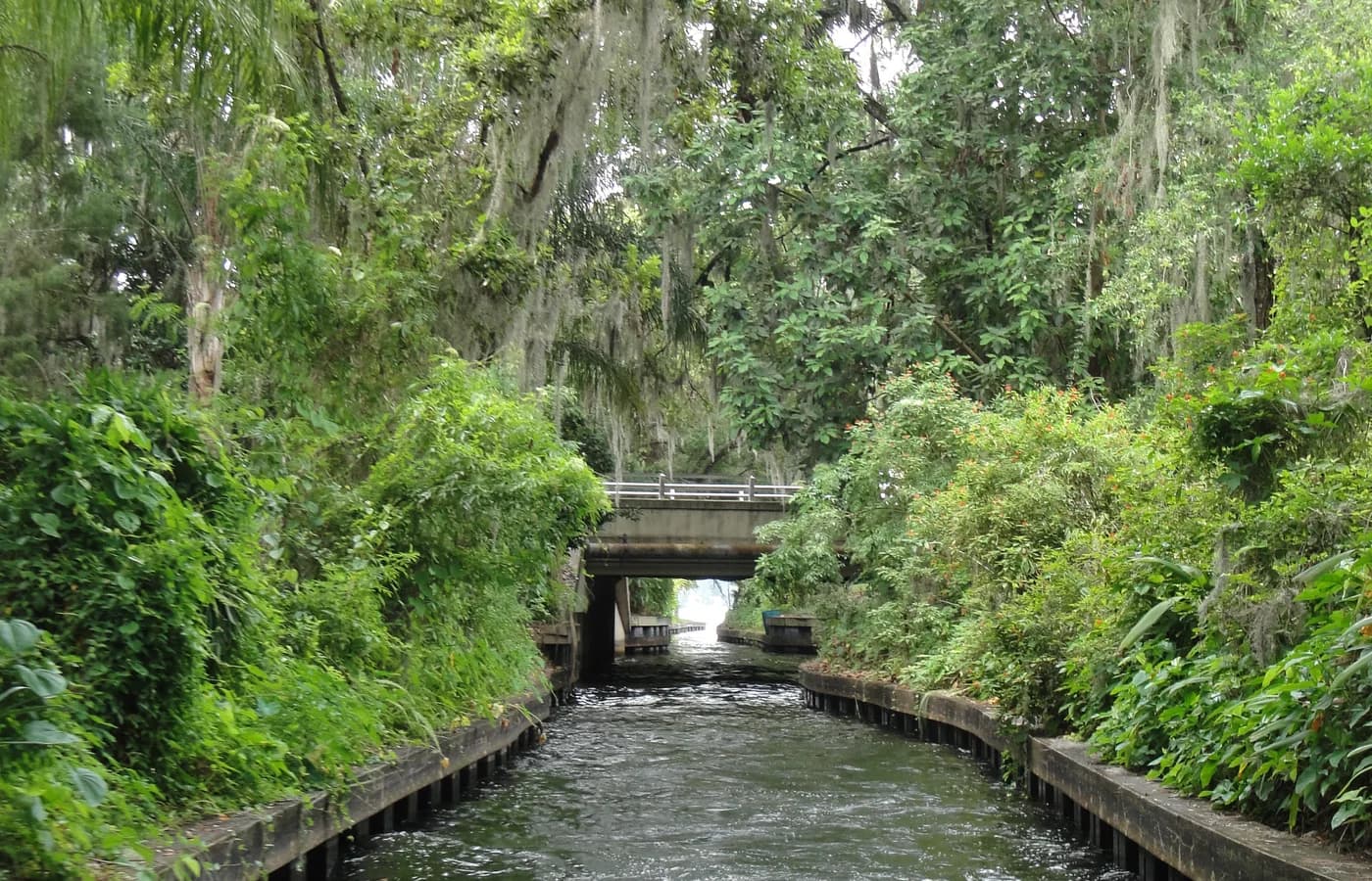 Tree-lined canal in Winter Park, Florida